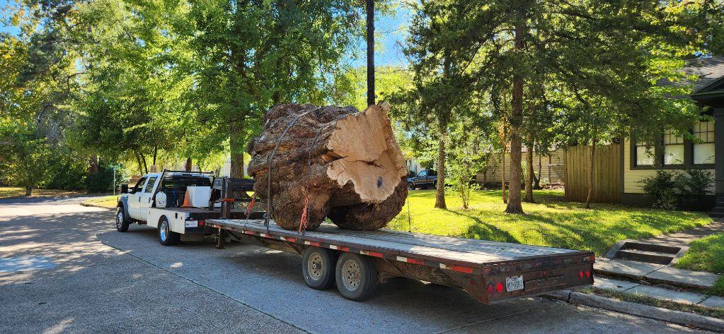 Post Oak Burl